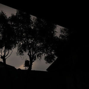 Meet your Posher, Emely